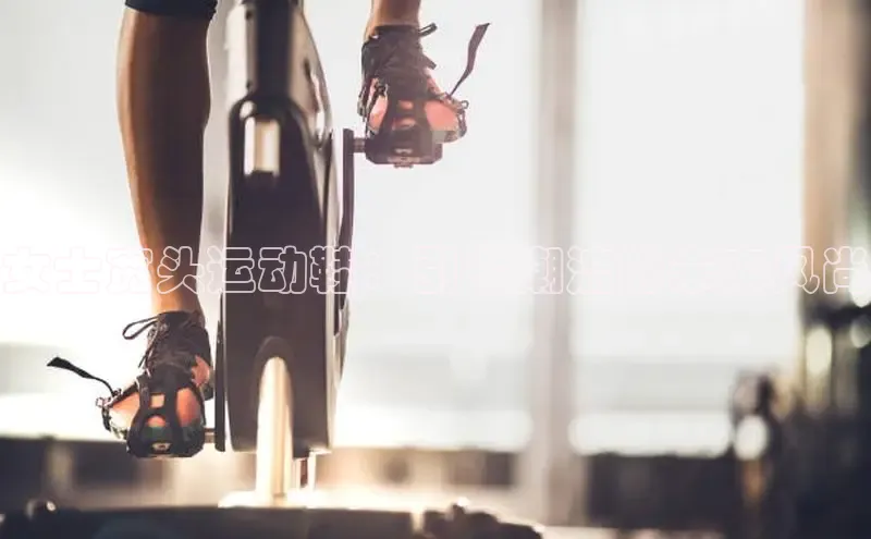 劲爆体育app官方